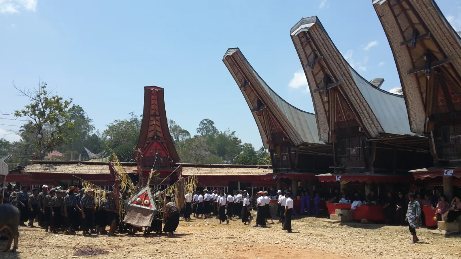 Toraja: Ritual Sakral Menjadi Warisan Abadi