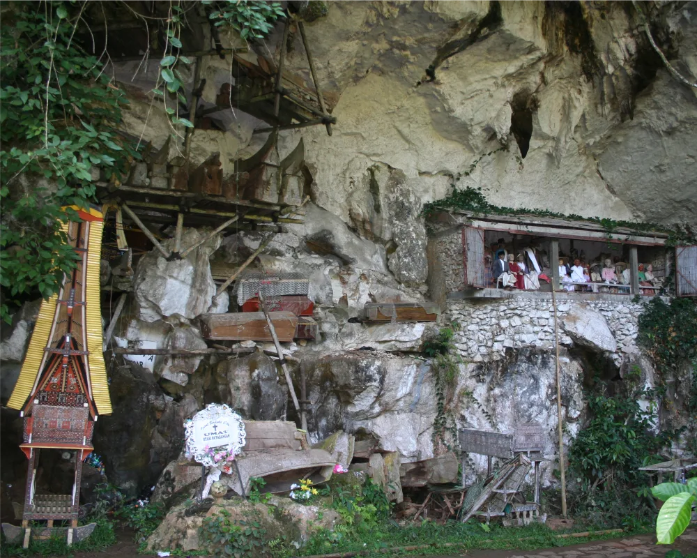 Des hauts plateaux de Toraja à Makassar