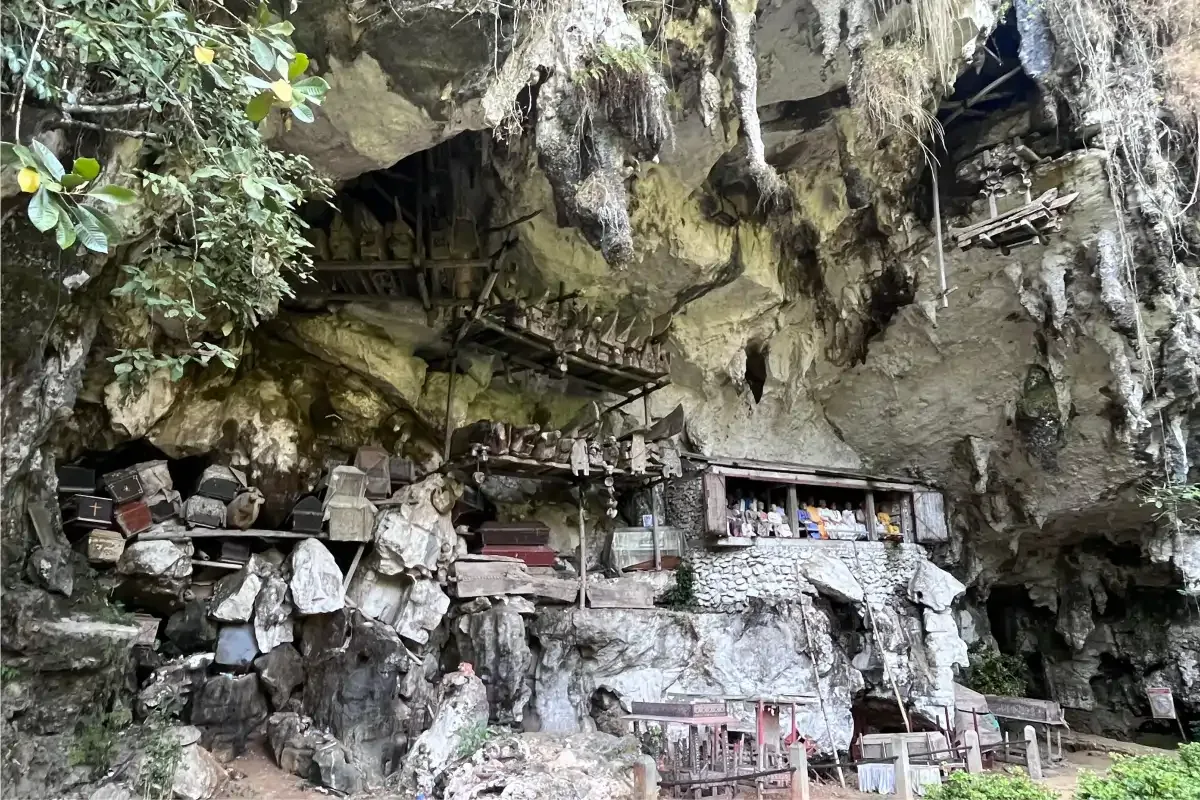 Toraja Cultural Discovery