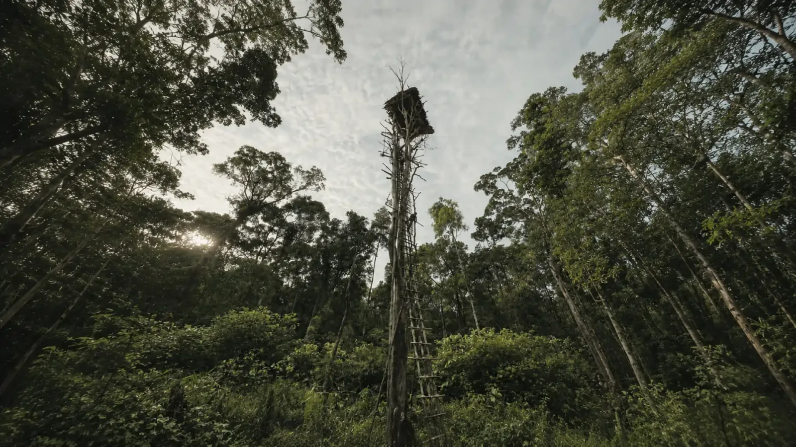Indonesia’s Last Living Frontiers