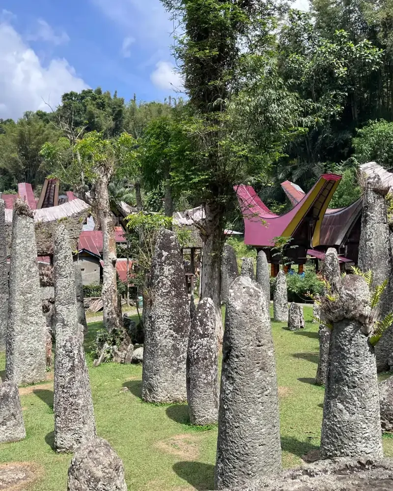 Toraja — Ancestors, Megaliths & Highland Life