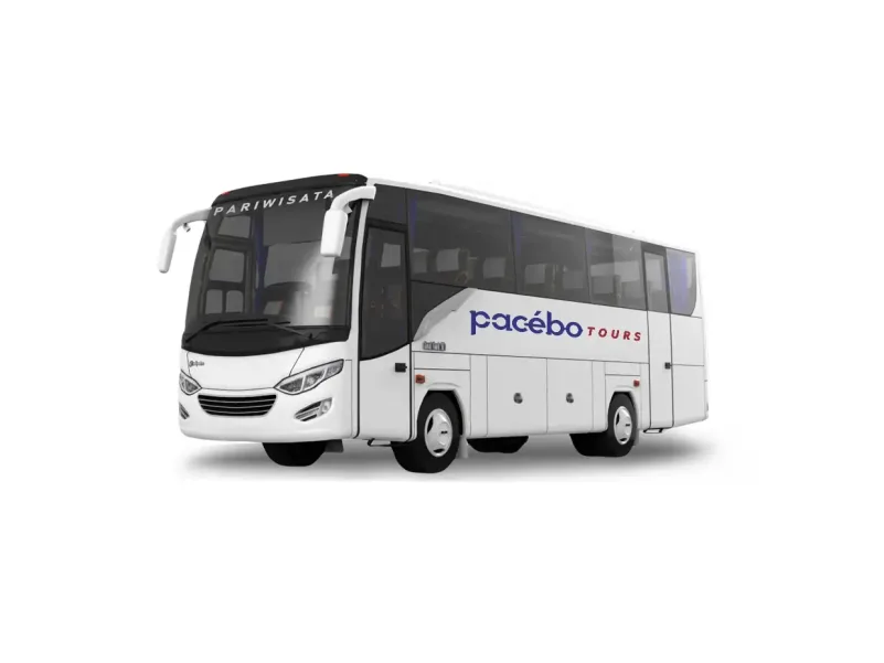 Medium Bus Pariwisata 30 seat