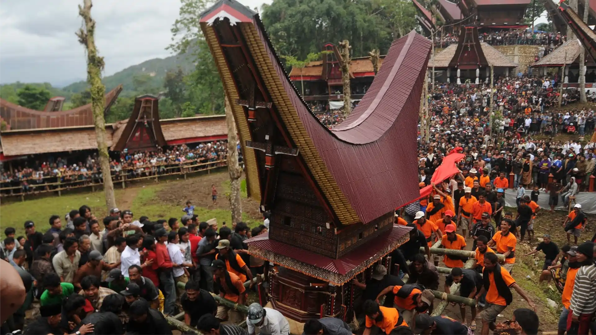 Toraja — Tongkonan, Cliffs & Living Traditions