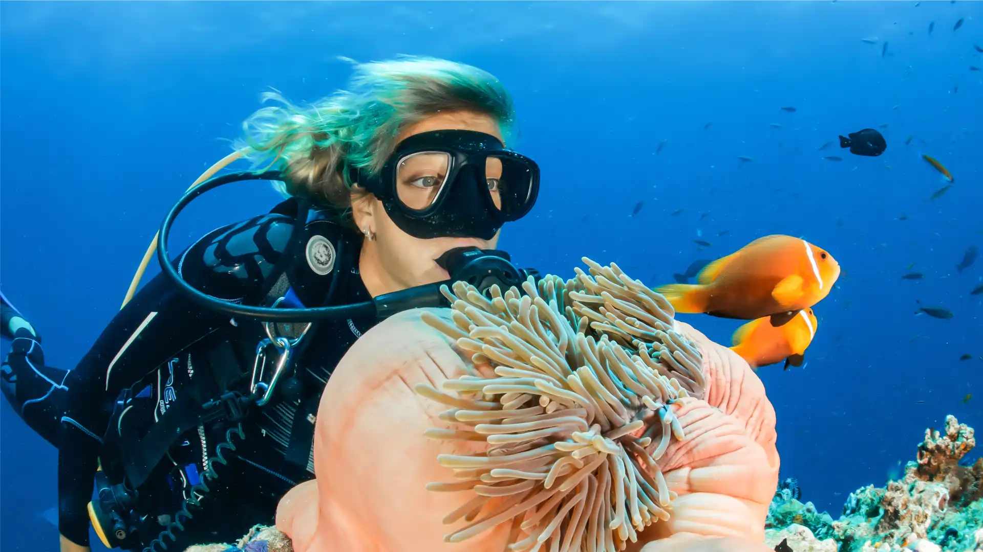 Bunaken & Lembeh — Coral Walls, Turtles & Macro Worlds